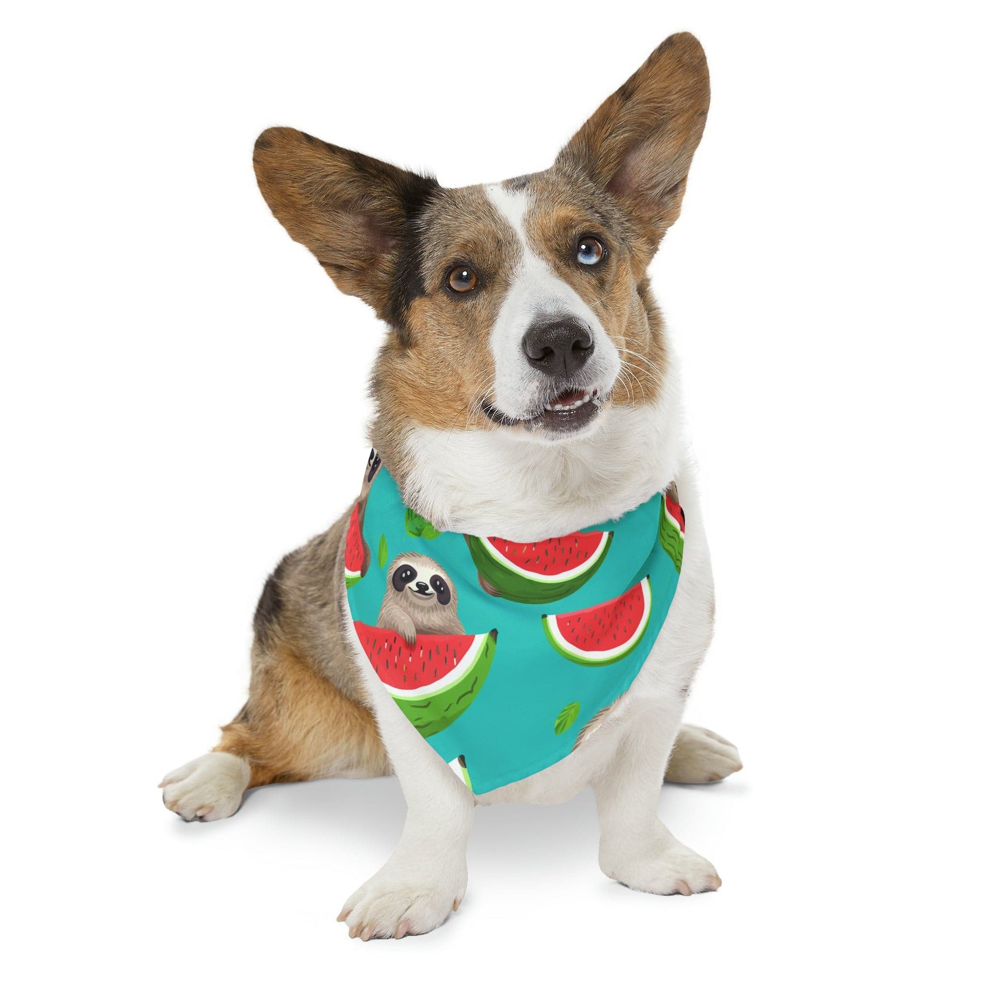 Printify Pets Pet Bandana Collar - Tropical Sloth Eating Watermelon Matching Pet and Owner Apparel