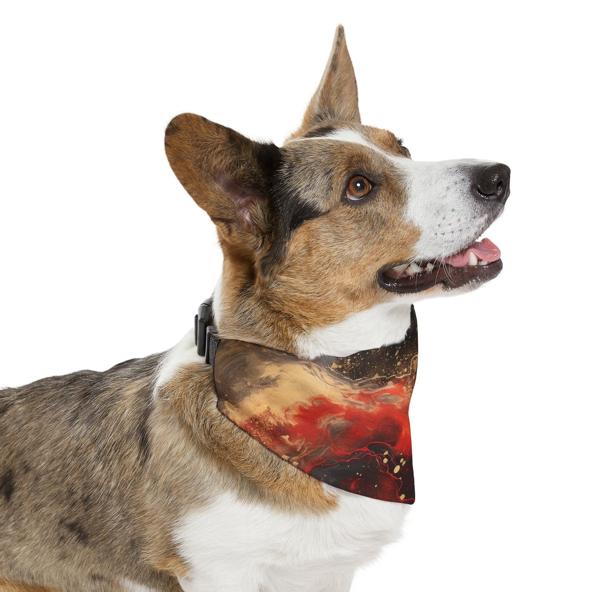 Printify Pets Pet Bandana Collar - Pour Paint Red and Black Matching Pet and Owner Apparel